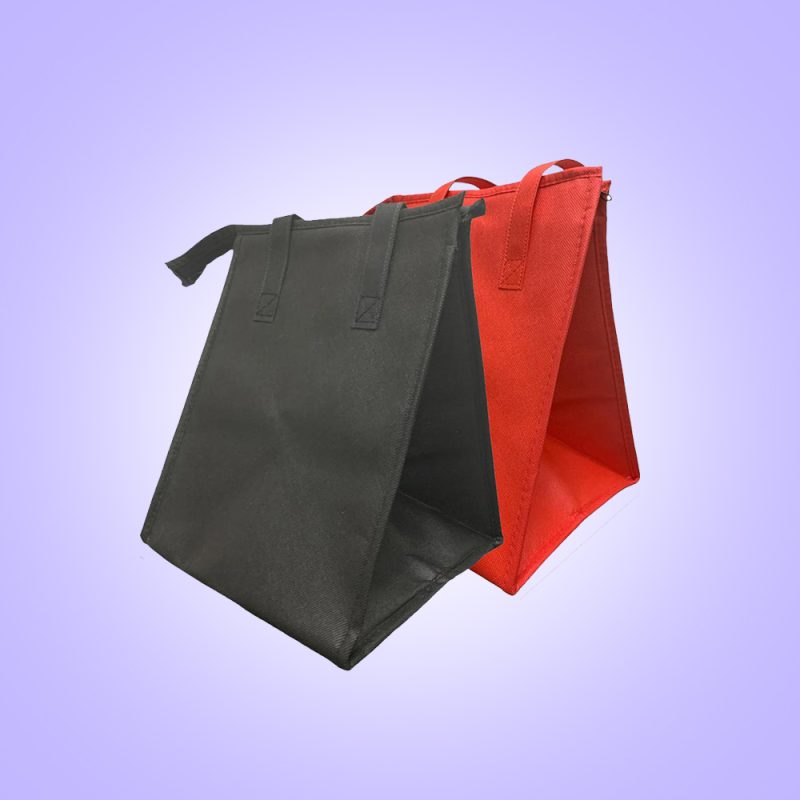 Thermal Cooler Bag